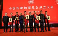 楊文龍董事長當選中國藥都樟商總會會長
